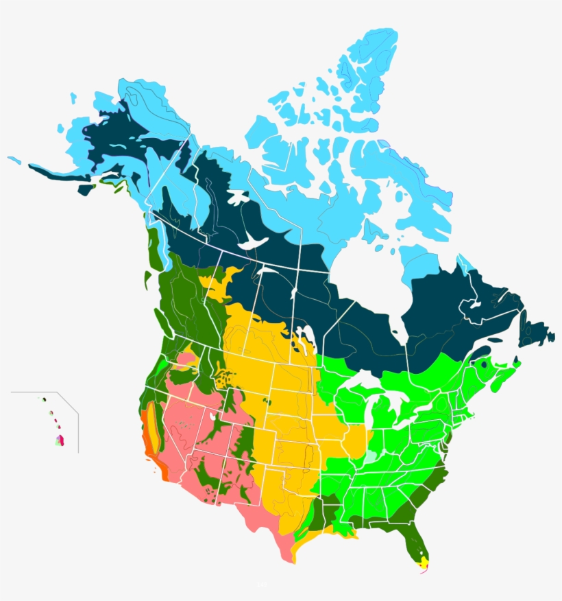 Us And Canada Map Template Boreal Forest Of Canada - Do Caribou Live In Canada, transparent png download
