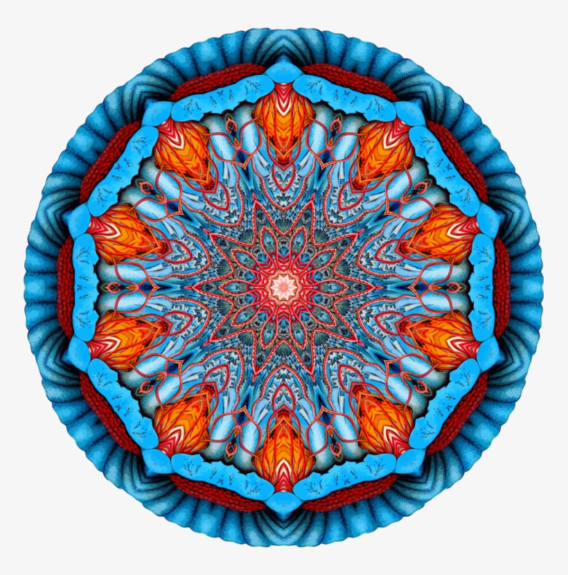 Computer Icons Jellyfish Symmetry Discomedusae Drawing, transparent png download