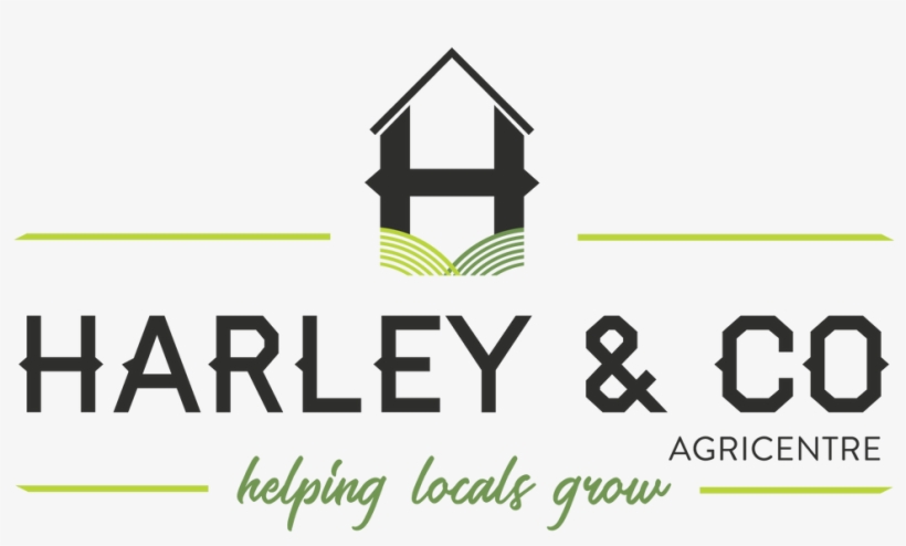 Announcing Our Silver Sponsors - Graphic Design, transparent png download