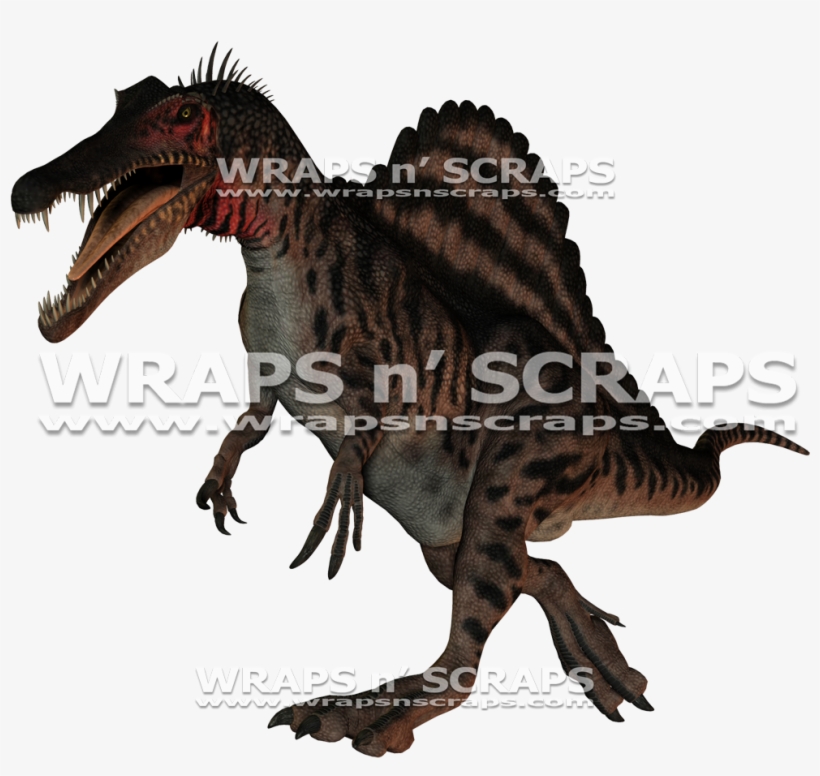 Tyrannosaurus, transparent png download