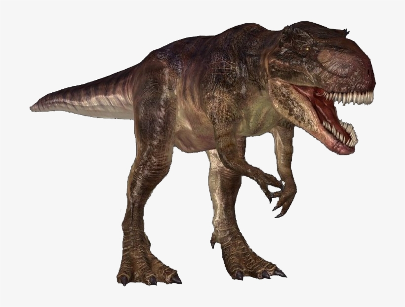Giganotosaurus Is One Of The Largest Theropods, Around - Giganotosaurus Gif Png, transparent png download