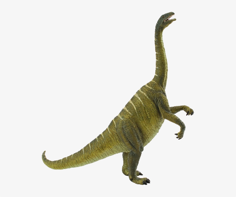 Procon Plateosaurus - Collecta Plateosaurus, transparent png download