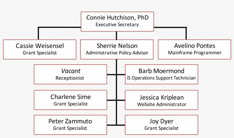 Org Chart - Product, transparent png download