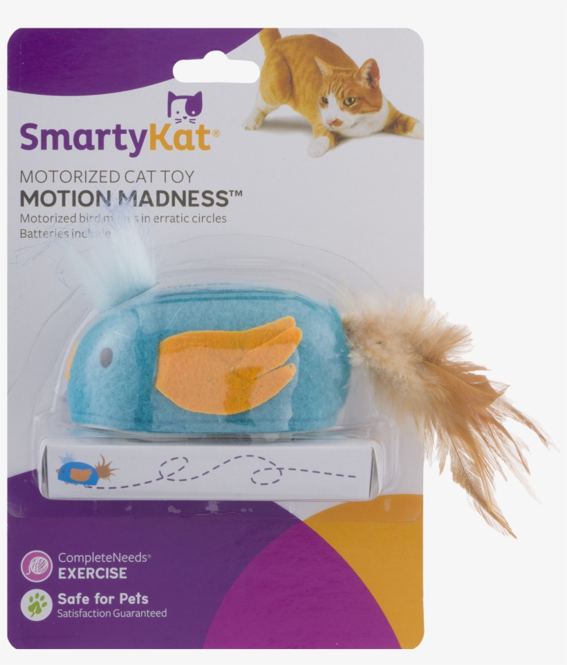 Kitten, transparent png download