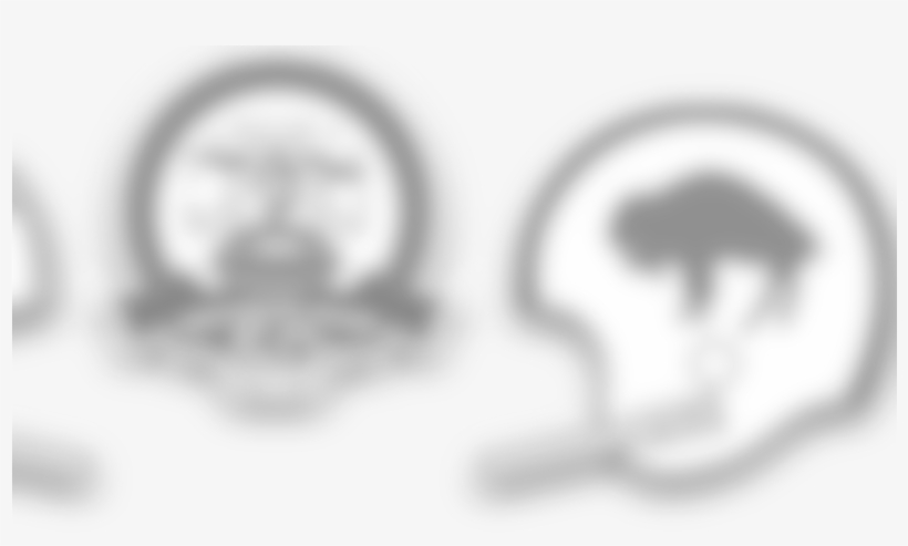 Patriots Fans Are Encouraged To Leave Early Or Take - Circle, transparent png download