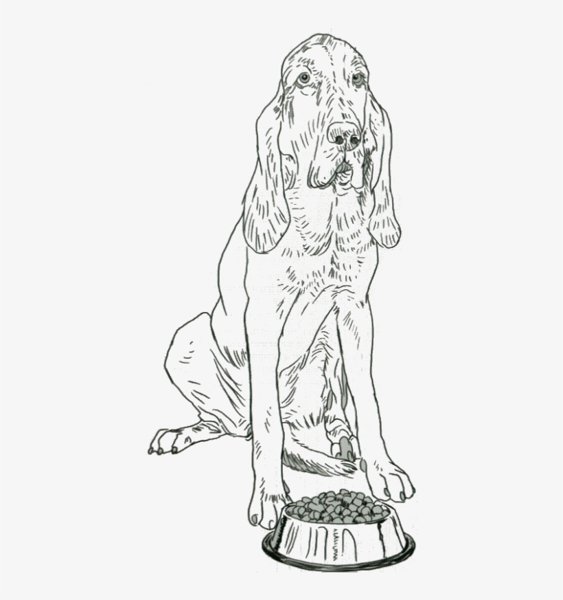 Line Art, transparent png download