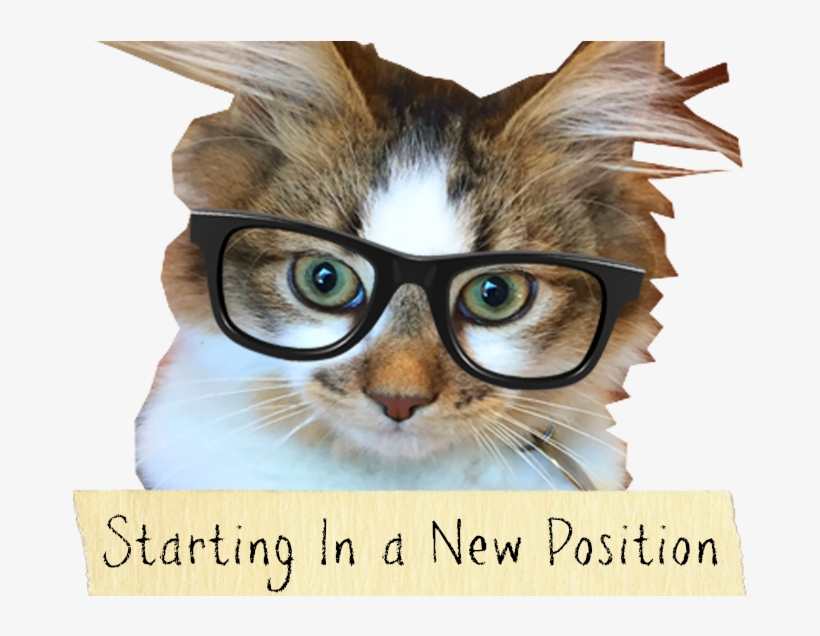 Happy Holidays My Kittens - Asian, transparent png download