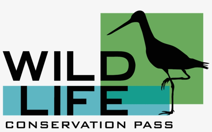 Media Partners, transparent png download