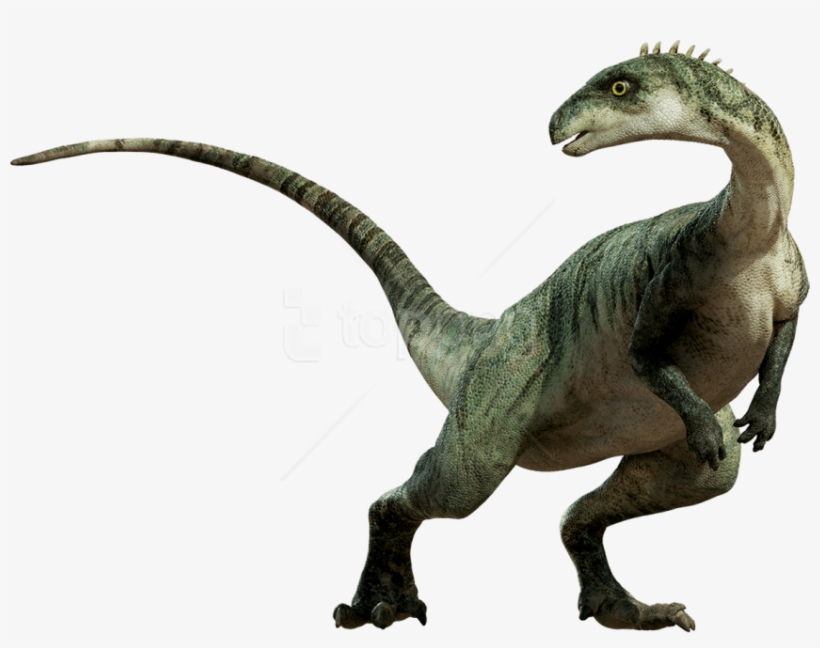 Free Png Download Dinosaur Standing Png Images Background - Dinosaur Png, transparent png download