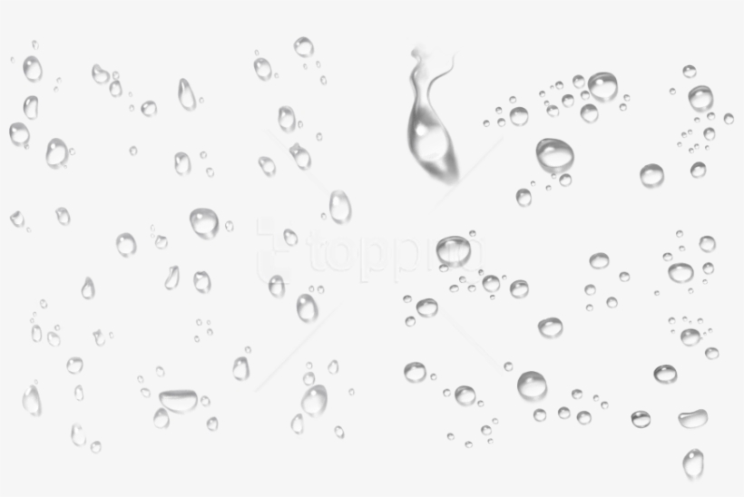 Free Png Water Png Images Transparent - Png Format Water Drop Png Hd, transparent png download