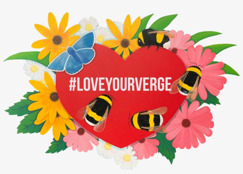 Download Our Love Your Verge Resources And Carry On - Sunflower, transparent png download