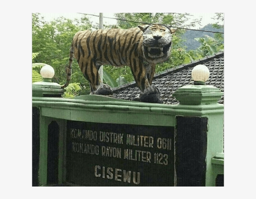 Roar No More - Tiger Memes, transparent png download