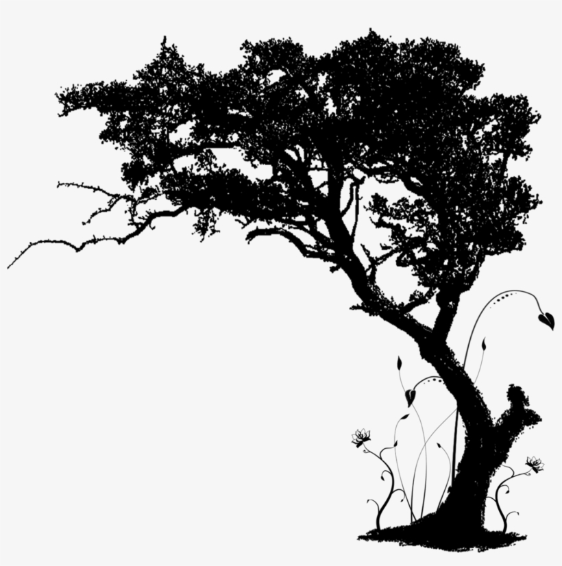 Redemption House Life Center - Big Tree Png Hd, transparent png download