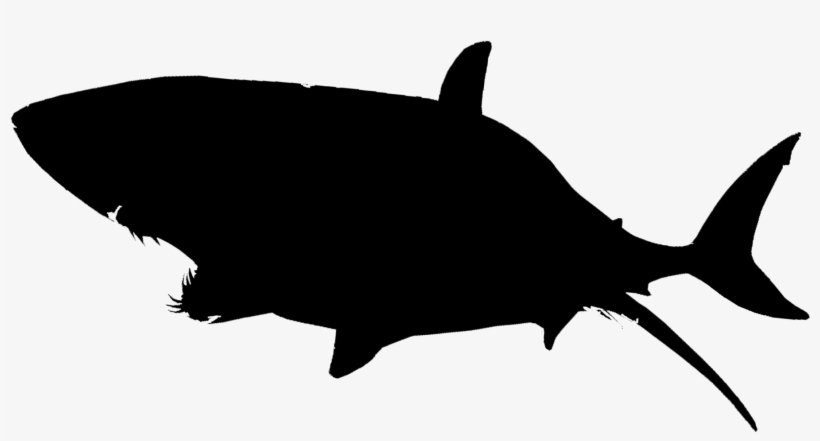 Shark Clipart, transparent png download