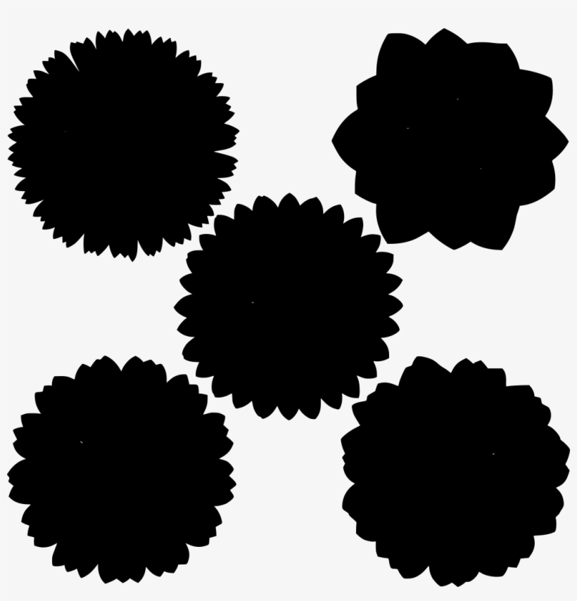 Download Png - Circle, transparent png download