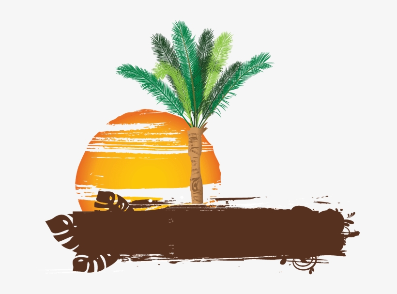 Asmaa Tours Zanzibar, transparent png download