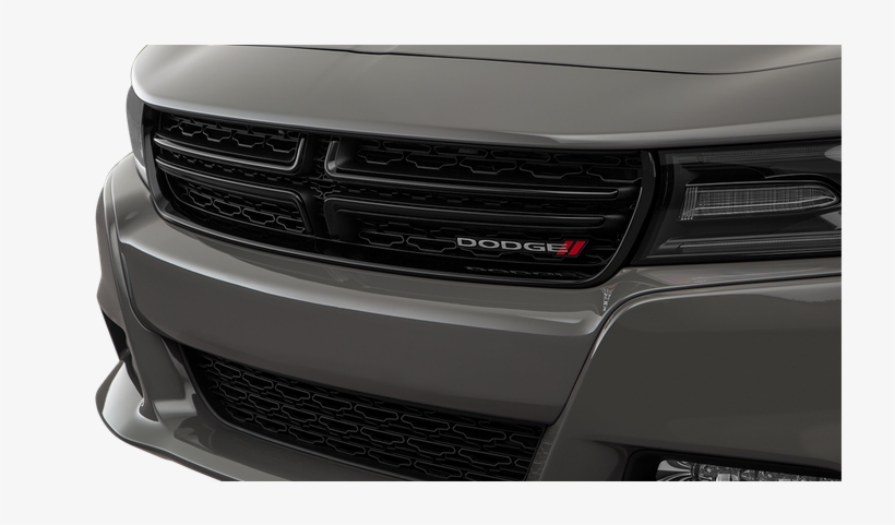 View Photos, Open Photo Gallery - Grille, transparent png download