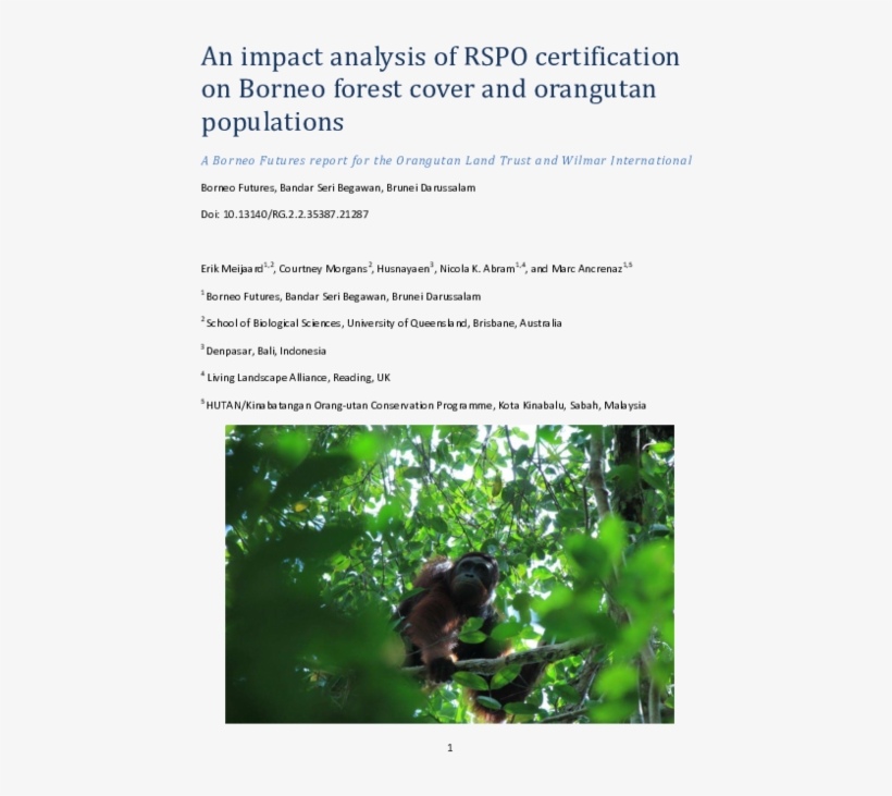 Pdf - Macaque, transparent png download