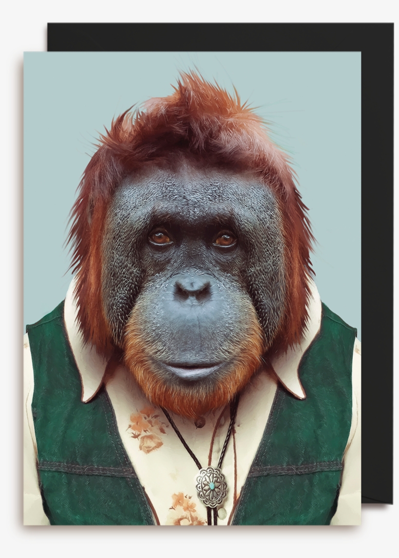 Bornean Orangutan Greeting Card - Iphone Wallpaper Orangutan, transparent png download