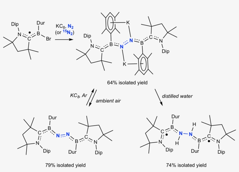 Boron Dinitrogen Activation - Dinitrogen Activation, transparent png download