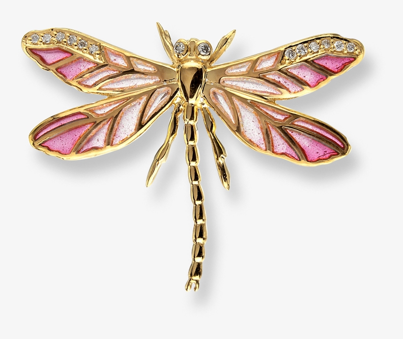 Stock - Dragonfly, transparent png download