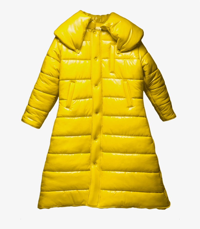 Tinashe - Overcoat, transparent png download