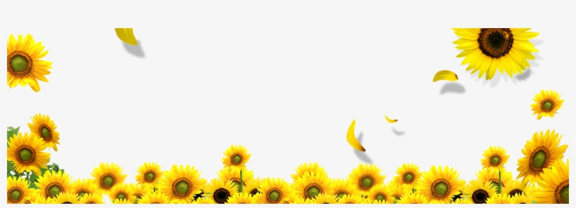 Common Download Transprent - Sunflower Landscape Png, transparent png download