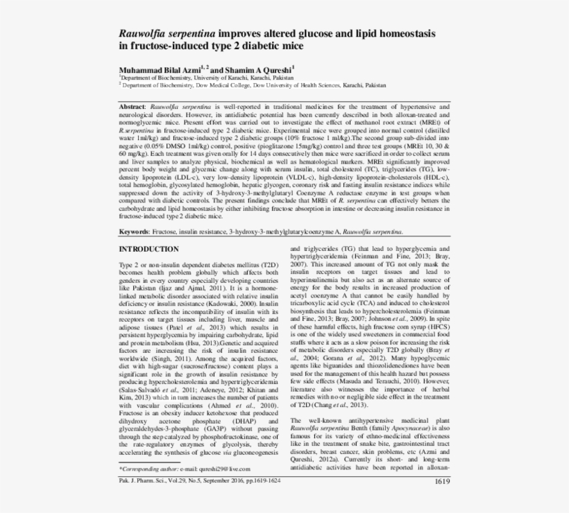 Pdf - Document, transparent png download