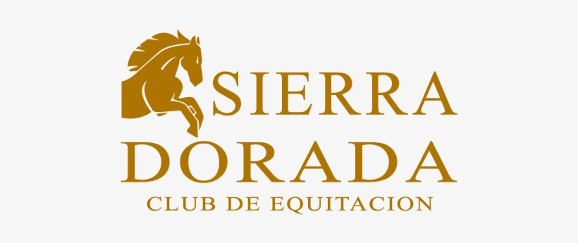 Report Image - Megarama, transparent png download