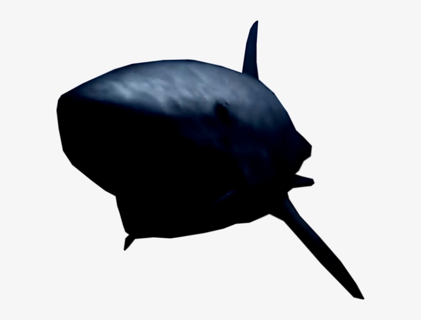 La Cucaracha, Classic, Hence The Interest - Shark, transparent png download