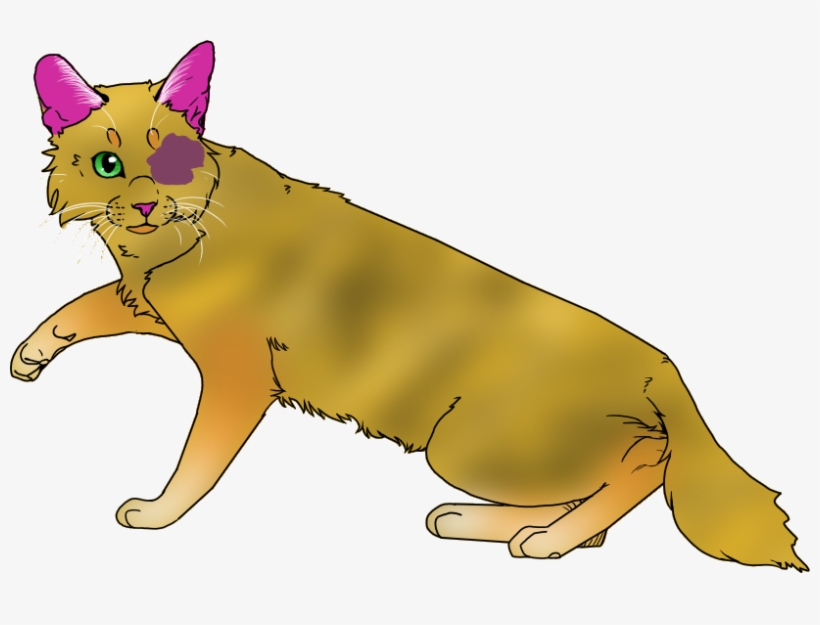 Mottle - Unknown - Dog, transparent png download