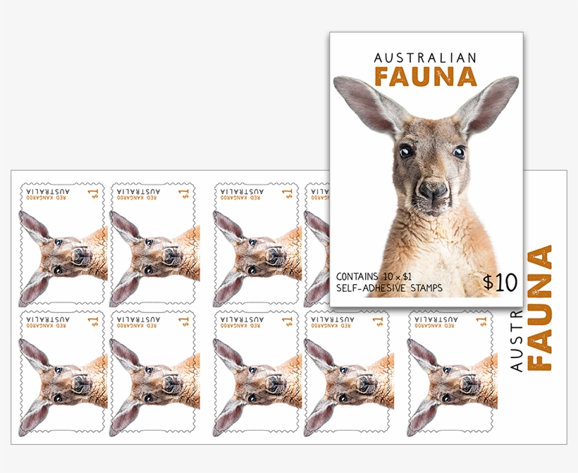 Shop, transparent png download