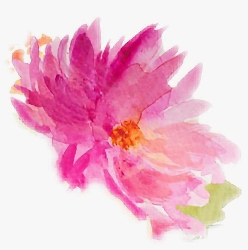 #watercolor #watercolours #flowers - Chinese Peony, transparent png download