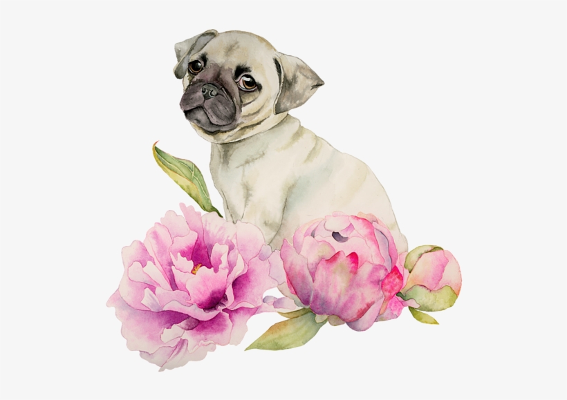 Click And Drag To Re-position The Image, If Desired - Happy Birthday Dog And Flower, transparent png download
