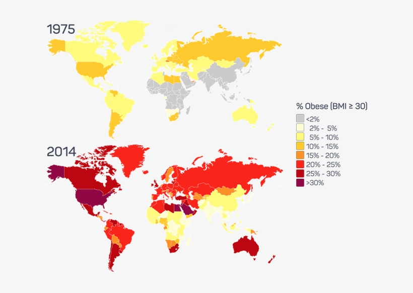 Obesity - World Map, transparent png download