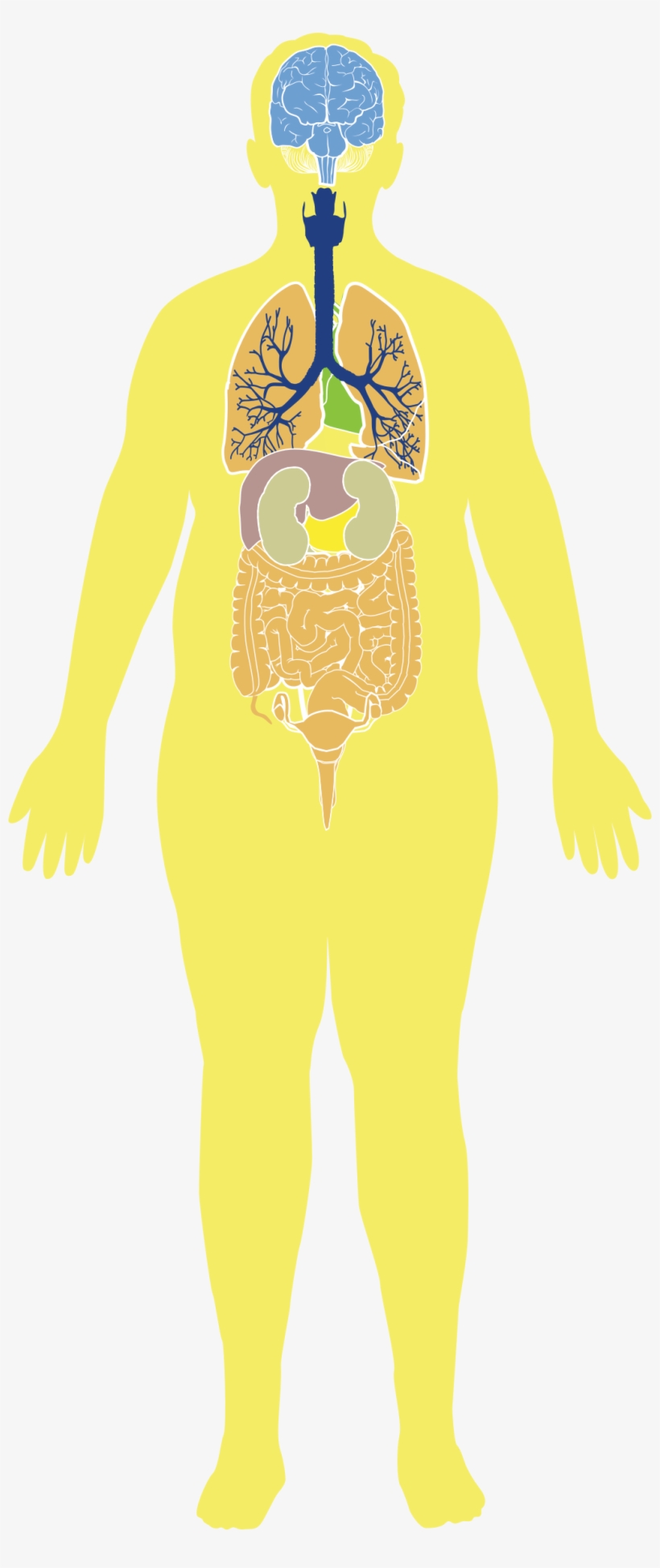 Big Image - Cartoon, transparent png download