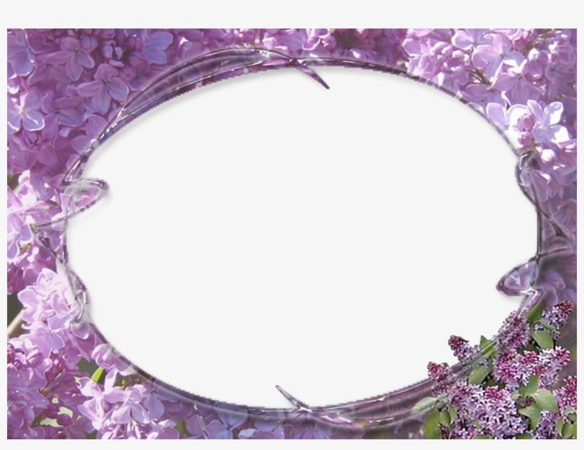 Marcos De Fotos Para Mujeres Bellos - Wisteria, transparent png download