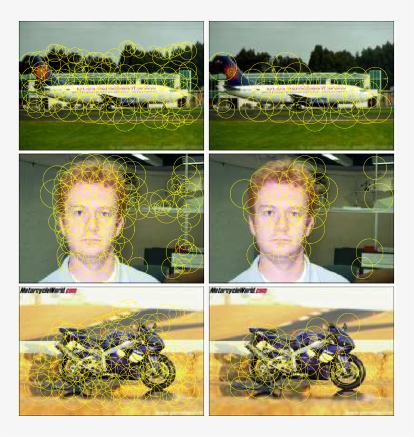 Image Patch Selection - Grass, transparent png download
