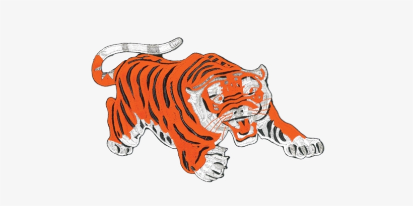 1243 Attacking Tiger Patch 8"w - Siberian Tiger, transparent png download
