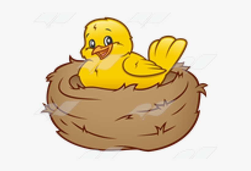 Mother Bird Free On Dumielauxepices Net Yellow Ⓒ - Yellow Bird In Nest Clipart, transparent png download