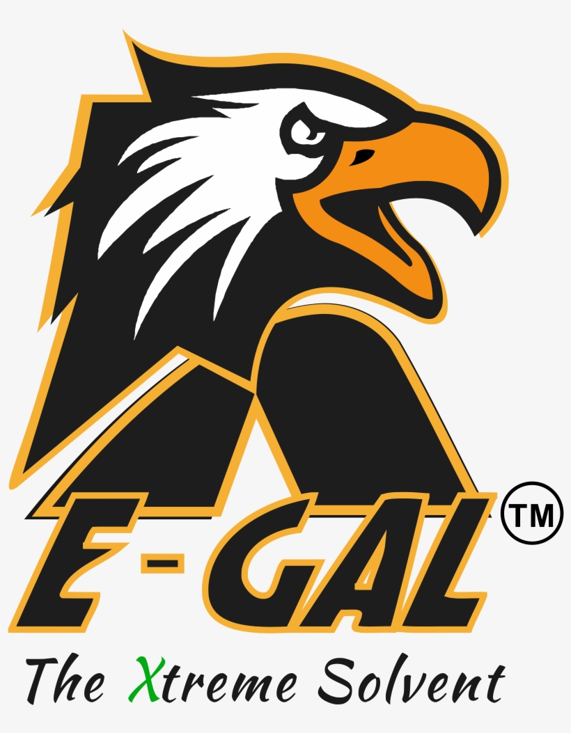 Please Sign In - Bald Eagle, transparent png download