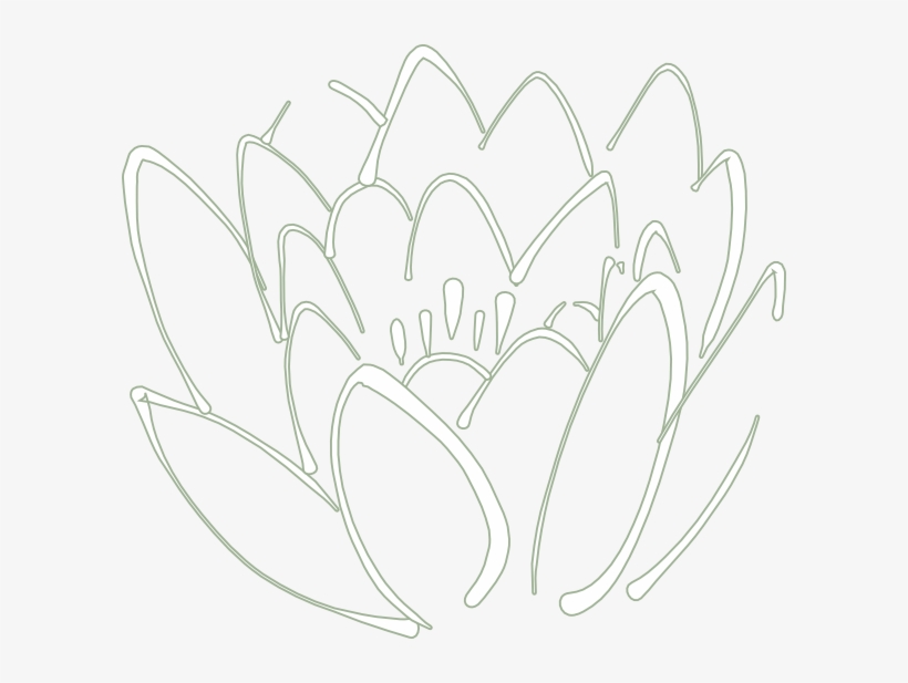 Lotus Png, transparent png download