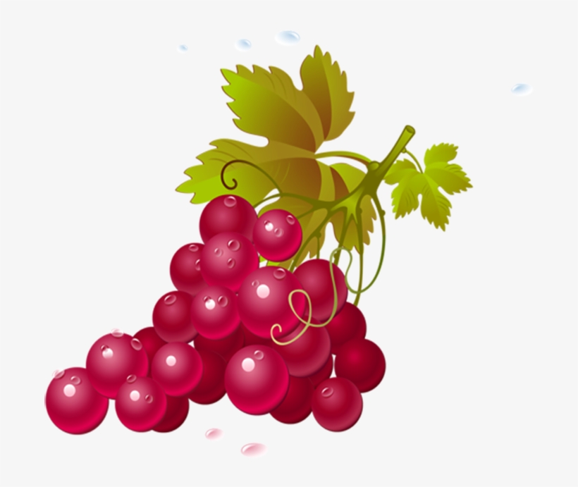 Grapes Fruits Png Transparent Images Clipart Icons - Jean Michel Brouard Vin, transparent png download