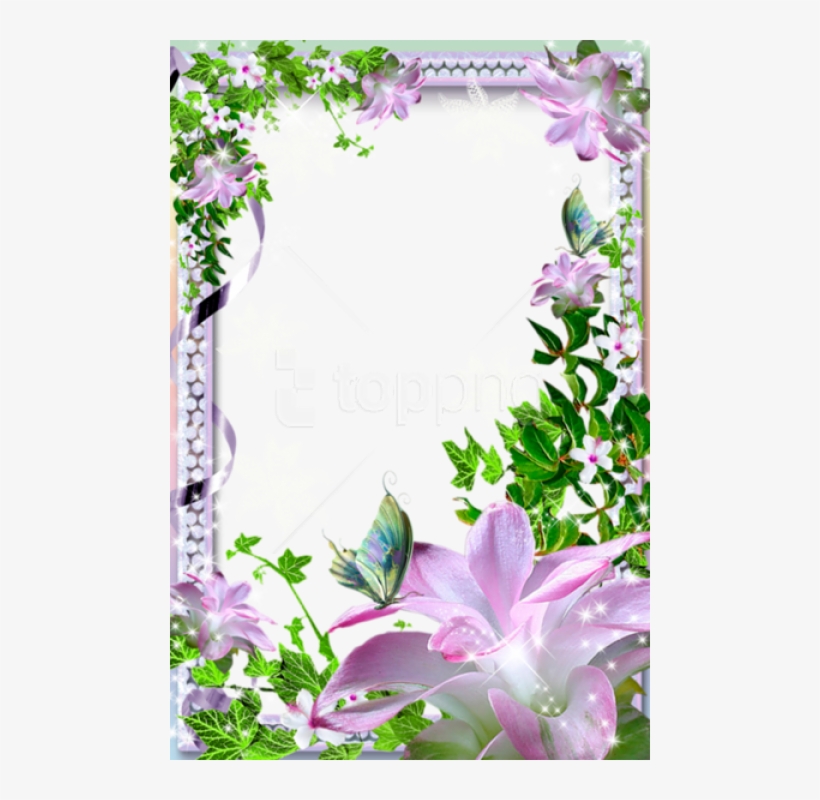 Free Png Best Stock Photos Beautiful Transparent Photo - Beautiful Flower Photo Frames, transparent png download