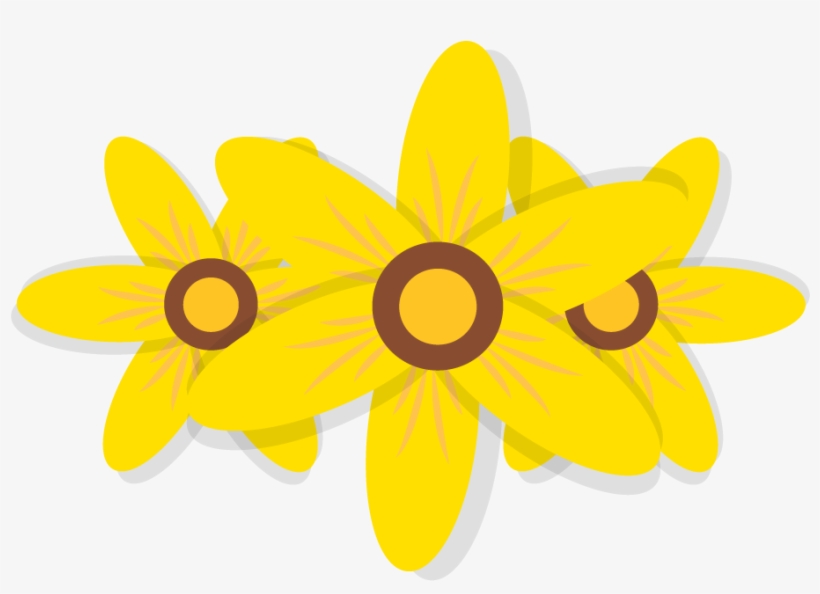 黄色菊花 - Black-eyed Susan, transparent png download