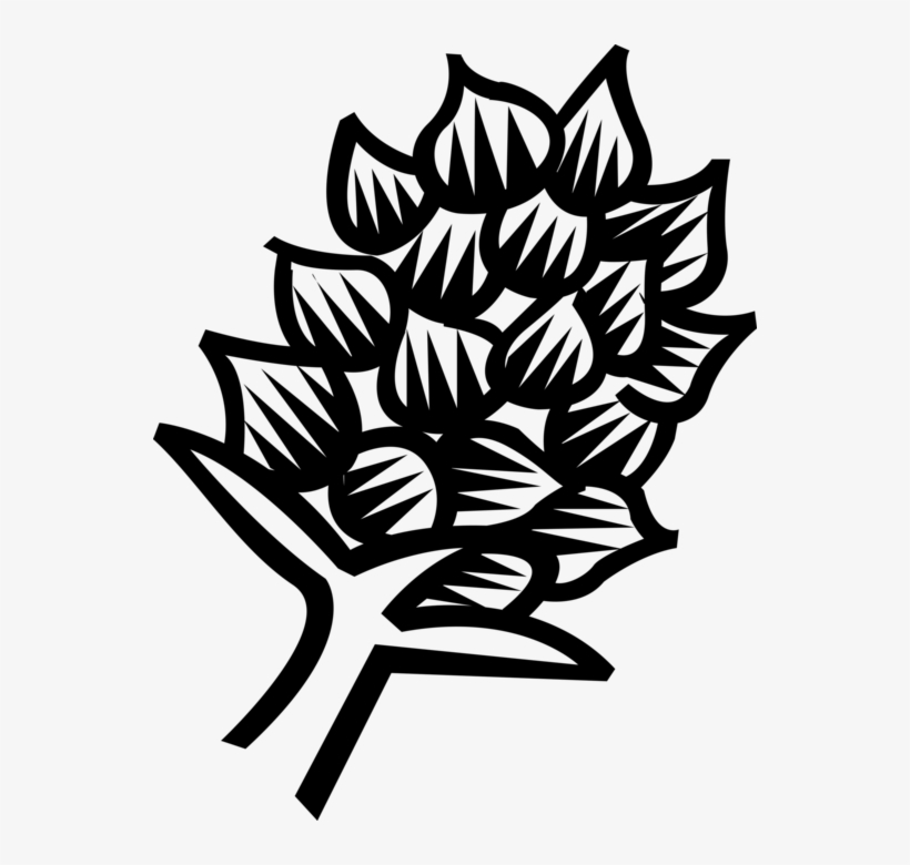 Vector Illustration Of Exotic Plant Flower, transparent png download