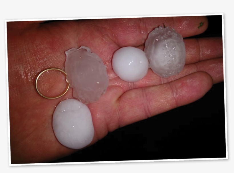 Golf Ball Sized Hail From The Thunderstorm - Hail, transparent png download