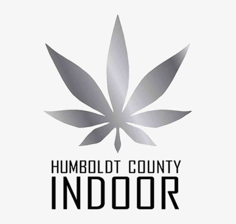 Graphic Design, transparent png download