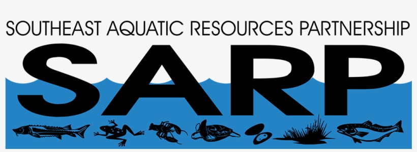 Welcome To Stream Continuity - Graphics, transparent png download