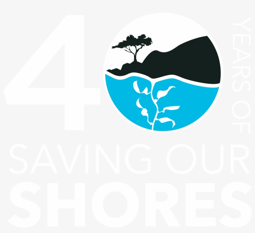 Earth Day Weekend Cleanup- Seabright State Beach - Save Our Shores, transparent png download